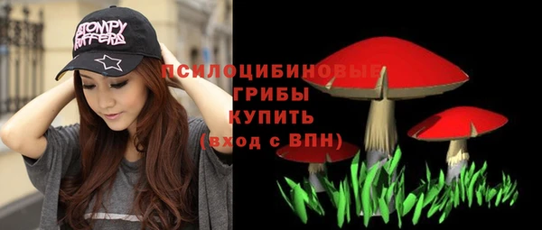 не бодяженный Переславль-Залесский