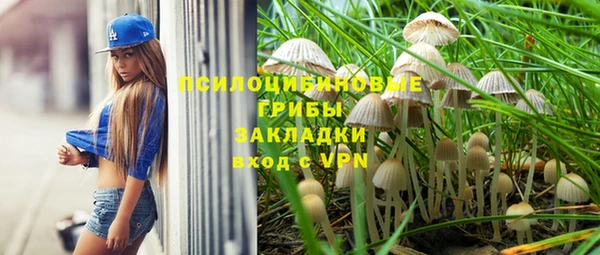 гашик Пестово