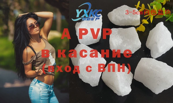гашик Пестово