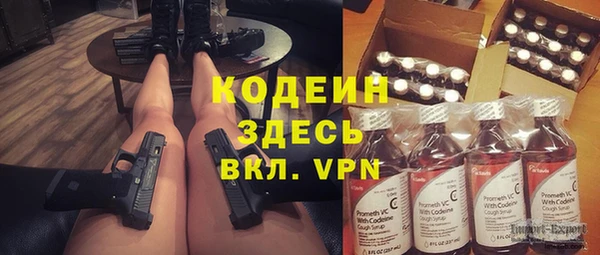 гашик Пестово
