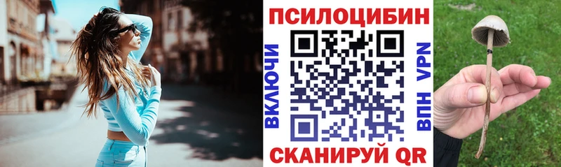 Псилоцибиновые грибы GOLDEN TEACHER  Новоузенск 